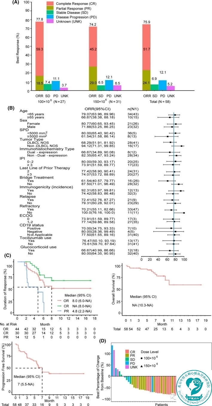 CAR-T疗法瑞基奥仑赛注射液治疗数据